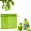 THSINDE Sac De Protection De Grappes De Raisins, 50 Pièces 30x20 Cm Sac En Organza Des Fruits Avec Cordons Donne Protection Totale Contre Les Guêpes Les Oiseaux Et Autres Insectes (Vert Mousse) 2 THSINDE Sac De Protection De Grappes De Raisins, 50 Pièces 30x20 Cm Sac En Organza Des Fruits Avec Cordons Donne Protection Totale Contre Les Guêpes Les Oiseaux Et Autres Insectes (Vert Mousse) -Protection Pour Végétaux Soldes 66178654 1