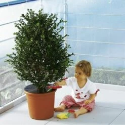 PESCE Lot De 2 Grilles De Protection Pour Pot De Fleurs - Répulsif Pour Chat - Sécurité Pour Bébé - Pour Protéger Les Enfants Et Les Animaux Domestiques - 30 Cm - Marron -Protection Pour Végétaux Soldes 66263853 5