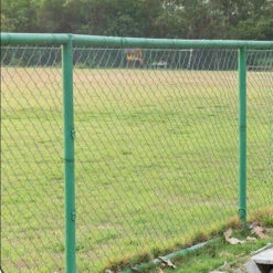 PESCE Treillis Vert Plante Rampant Filet Jardin Plante Treillis Filet Plante Vigne Escalade Filet Jardin Filet Pour Fruits Et Légumes -Protection Pour Végétaux Soldes 66263878 3