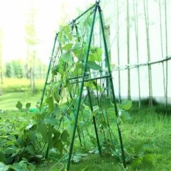 2 Pcs Filet De Treillis De Support De Plante Filet De Treillis Pour Plante Grimpante En Polyethylene Filet De Treillis De Culture Pour Vignes Légumes Fleurs Fruits Concumbre Tomate Pois, 1.8m*3.6m 13Treize 11 2 Pcs Filet De Treillis De Support De Plante Filet De Treillis Pour Plante Grimpante En Polyethylene Filet De Treillis De Culture Pour Vignes Légumes Fleurs Fruits Concumbre Tomate Pois, 1.8m*3.6m 13Treize -Protection Pour Végétaux Soldes 66359133 5