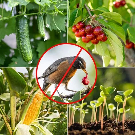 Filet De Protection Pour Arbres Fruitiers Protection Anti Oiseaux Et Animaux Filet En Polyéthylène Robuste Avec Mailles (vert,2*5m),Adélala 5 Filet De Protection Pour Arbres Fruitiers Protection Anti Oiseaux Et Animaux Filet En Polyéthylène Robuste Avec Mailles (vert,2*5m),Adélala – Image 3