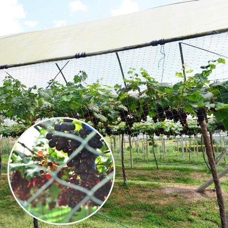 Filet De Protection Pour Arbres Fruitiers Protection Anti Oiseaux Et Animaux Filet En Polyéthylène Robuste Avec Mailles (vert,2*5m),Adélala 6 Filet De Protection Pour Arbres Fruitiers Protection Anti Oiseaux Et Animaux Filet En Polyéthylène Robuste Avec Mailles (vert,2*5m),Adélala – Image 4