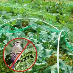 Filet De Protection Pour Arbres Fruitiers Protection Anti Oiseaux Et Animaux Filet En Polyéthylène Robuste Avec Mailles (vert,2*5m),Adélala 11 Filet De Protection Pour Arbres Fruitiers Protection Anti Oiseaux Et Animaux Filet En Polyéthylène Robuste Avec Mailles (vert,2*5m),Adélala -Protection Pour Végétaux Soldes 66381019 5