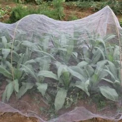 Filet De Protaction Anti-inseetes,6*2.5m Filet Anti-Insectes Pour Légumes,Filets Pour Jardin En Maille Fine Pour Jardin, Serre, Plantes, Fruits, Fleurs, Cultures Repousse-pesticides,Adélala -Protection Pour Végétaux Soldes 66382559 5