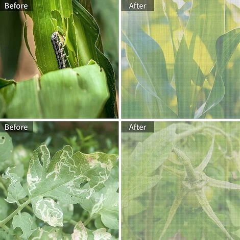 BF Plante Couverture Anti-insectes Sac Anti-insectes Cordon Anti-mouche Couverture Fleur Et Fruit Filet Anti-insectes 1*1.5m 6 BF Plante Couverture Anti-insectes Sac Anti-insectes Cordon Anti-mouche Couverture Fleur Et Fruit Filet Anti-insectes 1*1.5m – Image 4