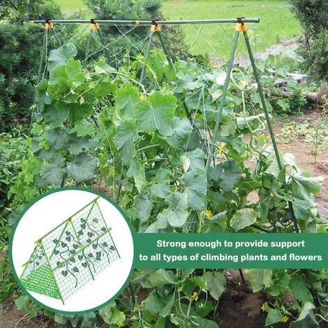 READCLY-Filet Anti-Oiseaux,4m X 12m Vert Jardin Anti Oiseau Filet De Bassin Pour Oiseaux Pour Légumes De Fruits De Ferme De Jardin 5 READCLY-Filet Anti-Oiseaux,4m X 12m Vert Jardin Anti Oiseau Filet De Bassin Pour Oiseaux Pour Légumes De Fruits De Ferme De Jardin – Image 3