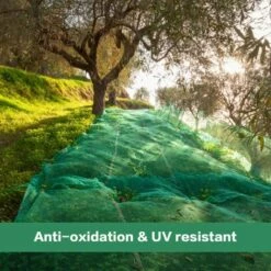 READCLY-Filet Anti-Oiseaux,4m X 12m Vert Jardin Anti Oiseau Filet De Bassin Pour Oiseaux Pour Légumes De Fruits De Ferme De Jardin 11 READCLY-Filet Anti-Oiseaux,4m X 12m Vert Jardin Anti Oiseau Filet De Bassin Pour Oiseaux Pour Légumes De Fruits De Ferme De Jardin -Protection Pour Végétaux Soldes 66650003 5