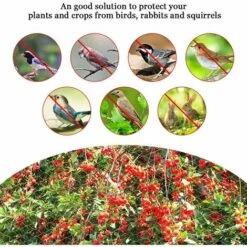 Filet Anti-Oiseaux En Maille Filet De Jardin Protection 4 X 10M Filet Protection Oiseaux Vert Filet Pour Plantes De Jardin Avec Attaches De Câble Et Piquets Pour Arbres Fruitiers Légumes Dksfjkl 10 Filet Anti-Oiseaux En Maille Filet De Jardin Protection 4 X 10M Filet Protection Oiseaux Vert Filet Pour Plantes De Jardin Avec Attaches De Câble Et Piquets Pour Arbres Fruitiers Légumes Dksfjkl -Protection Pour Végétaux Soldes 66744445 4