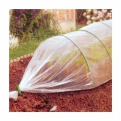 FABRE GRAINES FILM TRANSPARENT