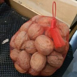 DONTODENT Sac Filet Réutilisable, 200 Pièces Sac Filet Légumes En Filet De Nylon, Filet D'emballage De Fruits Et Légumes, Pour Sac Filet À Oeufs, Sac Filet À Fruits 11 DONTODENT Sac Filet Réutilisable, 200 Pièces Sac Filet Légumes En Filet De Nylon, Filet D'emballage De Fruits Et Légumes, Pour Sac Filet À Oeufs, Sac Filet À Fruits -Protection Pour Végétaux Soldes 67290961 5