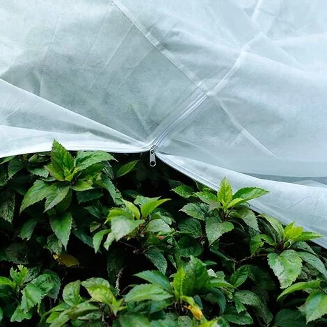 ZOLGINAH 1 Pièces Voile D'hivernage Plante 200×240cm Vert, Housse De Protection Pour Plantes, Housse D'hivernage Arbre, Voile Hivernage Avec Tirette, Jardin Vegetaux Sac Hiver Tomate Tissu Non Tissé 5 ZOLGINAH 1 Pièces Voile D'hivernage Plante 200×240cm Vert, Housse De Protection Pour Plantes, Housse D'hivernage Arbre, Voile Hivernage Avec Tirette, Jardin Vegetaux Sac Hiver Tomate Tissu Non Tissé – Image 3