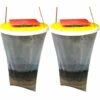 OUSUDELA Lot De 2 Pièges à Mouches Piège Suspendre Pour L'extérieur Pour Attirer œufs Pondants, Les Mouches Et Les Insectes Pour Fermes, Courroies De Fruits - 100 % Non Toxique, Jetables, Blanc 1 OUSUDELA Lot De 2 Pièges à Mouches Piège Suspendre Pour L'extérieur Pour Attirer œufs Pondants, Les Mouches Et Les Insectes Pour Fermes, Courroies De Fruits - 100 % Non Toxique, Jetables, Blanc -Protection Pour Végétaux Soldes 67437991 1