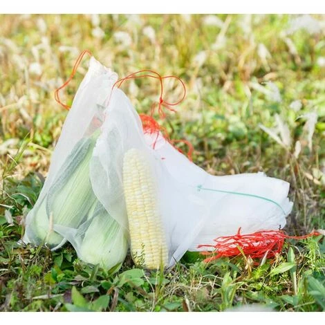 GRID COOL Lot De 50 Sacs De Protection Pour Plantes Fruitières Avec Cordon De Serrage, Sac En Filet Respirant, Anti-insectes, Anti-insectes, Anti-insectes, Anti-oiseaux, Outils De Jardinage 25 X 15 Cm. 5 GRID COOL Lot De 50 Sacs De Protection Pour Plantes Fruitières Avec Cordon De Serrage, Sac En Filet Respirant, Anti-insectes, Anti-insectes, Anti-insectes, Anti-oiseaux, Outils De Jardinage 25 X 15 Cm. – Image 3