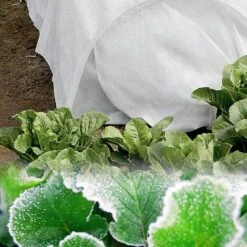 RHAFAYRE Housse De Protection En Non Tissé Pour Plantes, Housse Tunnel De Protection Pour Plante, Perméables 1,6m X 6m 30g/m², Blanc -Protection Pour Végétaux Soldes 67643398 2