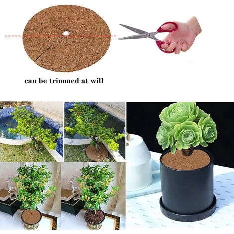 BEARSU 6 Pièces Tapis Coco Plante, Disque Coco, Disque De Paillage Coco, Protection D'hiver Pour Plantes En Pot, Protéger Les Racines Des Plantes En Pot Du Gel (20cm) 7 BEARSU 6 Pièces Tapis Coco Plante, Disque Coco, Disque De Paillage Coco, Protection D'hiver Pour Plantes En Pot, Protéger Les Racines Des Plantes En Pot Du Gel (20cm) – Image 5