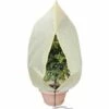 Cisea Housse D'Hivernage, Housse De Protection Pour Plantes, Voile D'Hivernage 2 Cisea Housse D'Hivernage, Housse De Protection Pour Plantes, Voile D'Hivernage -Protection Pour Végétaux Soldes 68077897 1