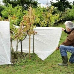 TERRE JARDIN Voile D'hivernage / Forçage 1.5 X 5 M 11 TERRE JARDIN Voile D'hivernage / Forçage 1.5 X 5 M -Protection Pour Végétaux Soldes 8937688 5