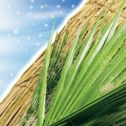 Nortene Paillon D'hivernage "Hivermat" - 1 X 1,50 M -Protection Pour Végétaux Soldes 9026209 3